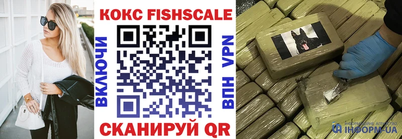 Кокаин Fish Scale  МЕГА ссылка  Новоузенск 
