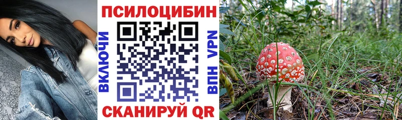 Псилоцибиновые грибы мицелий  Новоузенск 